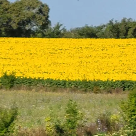 Raisin Et Toile - French American Retreat Ośrodek wypoczynkowy