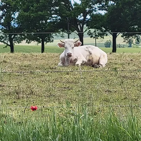 Raisin Et Toile - French American Retreat *